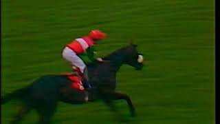 1988 Ayr Gold Cup So Careful [upl. by Eibob819]