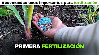 🌽 PRIMERA FERTILIZACIÓN del MAÍZ  Estos Fertilizantes Se Aplicaron Al Suelo En El Maíz en V4 [upl. by Niehaus]