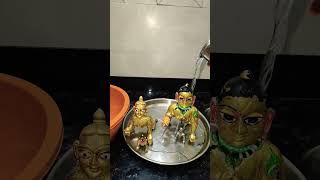 kanha ka snan 🛀laddugopal trending krishna shortvideo [upl. by Aihsyn]