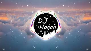 Nico amp Vinz  Am I Wrong DJ Hogan Remix [upl. by Euqinahc]