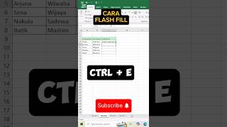 flash fill excel shorts [upl. by Ydnal]
