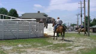 Yearling Prep Week 2 [upl. by Warfold]