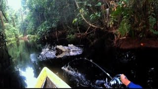 SUNGAI KECIL IKAN NYA MELIMPAH CESTING IKAN TOMAN DI SUNGAI PEDALAMAN HUTAN SUMATRA [upl. by Winer52]