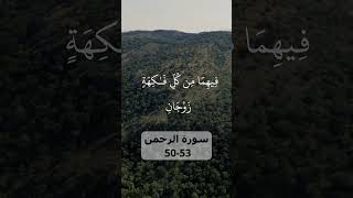 The MOST BEAUTIFUL Recitation Surah ArRahman 5053 سورة الرحمـن [upl. by Hgielrebmik]