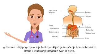 MODUL 1  VIDEO 2  SUSTAVI ORGANA  HR [upl. by Notnirb]