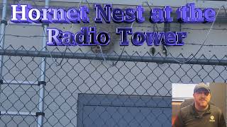 Hornet Nest on the Radio Tower [upl. by Antipas638]