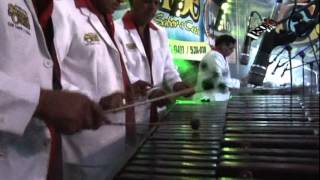 Marimba Orquesta Sonora Del Caribe  Caribemix Del Recuerdo La Rajita de CanelaRosa MaríaTina [upl. by Andrade947]