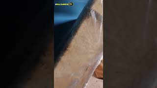 Why are Bed Bugs so Common at Section 8 Apartments  HoltonWiseTV Highlights [upl. by Attevroc811]