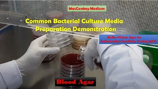 Common Bacterial Culture Media Preparation Demonstration Macconkey Blood and MullerHinton agar [upl. by Anwahsar268]