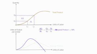 Introduction to Production Introduction Average Product Marginal Product Total Product [upl. by Trilby]