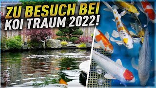 Zu Besuch bei Koi Traum 2022 [upl. by Liborio650]