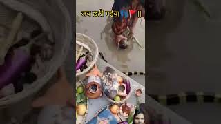 शीतली बेरिया ❤️viralvideo😱😱😱😱😱😱😱😱😱😱😱😱😱 [upl. by Aihsrop547]