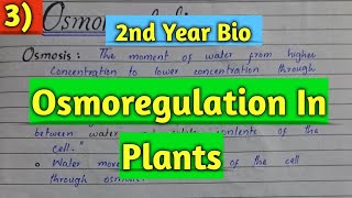 Osmoregulation in plants  Lec 3 Homeostasis  2nd year biology [upl. by Arrimat]