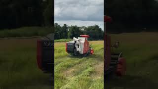 Harvester Activity💯 automobile harvester trending ricefield farming agriculture farm shorts [upl. by Lokkin]