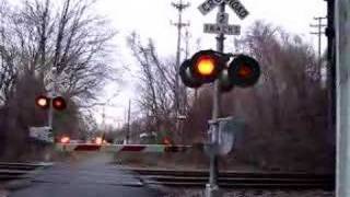 The NJ transit passes over the level crossing [upl. by Alyar425]