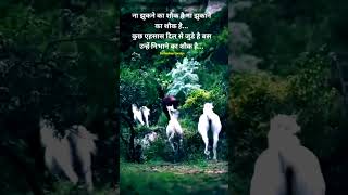 Horse status horse status video horse status attitude horse horse shorts horse shayari status [upl. by Altheta]