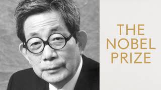 Kenzaburo Oe Nobel Prize in Literature 1994 Nobel Lecture [upl. by Pippas795]