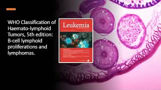 lymphomas introduction Classifications [upl. by Soalokcin]