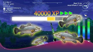 Fishing Planet Congo River  Leveling Guide 8090 [upl. by Akinod]