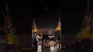 Erattupetta ayyappan at vaikom 2024 ashtami❤️ [upl. by Dunston395]