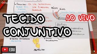 Histologia Tecido Conjuntivo  AO VIVO [upl. by Aleunamme768]