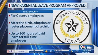 New parental leave program approved [upl. by Aleibarg]