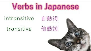 Transitive amp Intransitive verbs 1 Verbs in Japanese  Learn Japanese with Toby [upl. by Nesilla211]