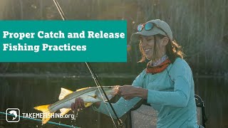 Proper Catch and Release Fishing Practices [upl. by Schonfeld]