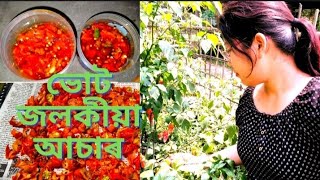 ভোট জলকীয়া আচাৰৰ একেবাৰে সহজ পদ্ধতি।। Ghost Chilli Pickle Recipe।। Usha Deori ।।Tribal Traditional।। [upl. by Brick980]