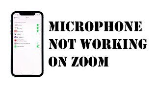 What To Do If The Microphone Won’t Work On Zoom [upl. by Ardnoik]