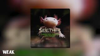 Seether  Weak Official Visualizer [upl. by Nohsyt700]