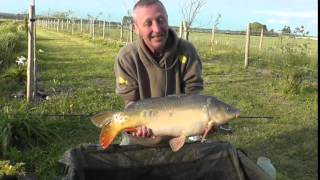 Carp Fishing Holiday Bearley Lakes Somerset [upl. by Mashe]