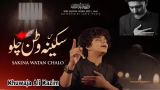 Zindan Khul Gia Hai Sakina Watan Chalo  Noha Khuwan Khuwaja Ali Kazim [upl. by Phail]