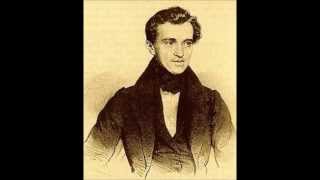 Johann Strauss  Radetzky March Remix [upl. by Steel975]