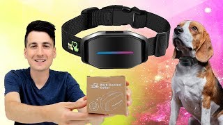 How To Make A Dog Stop Barking Dog Care Dog Bark Collar Review [upl. by Callan]