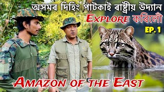 ভাৰতৰ Biggest lowland Rainforest অসমতেই আছে  Episode 1  Exploring Dihing Patkai National Park [upl. by Goddord67]