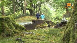 Delphi Lodge Welcomes the Famine Walk [upl. by Pomfret]