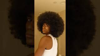 The Biggest Afro afro blackhair hair naturalhair curls curlyhair hairstyles haircare [upl. by Gemina436]