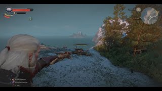 Video Game Show  The Witcher 3 Wild Hunt Concert 1080p [upl. by Honeyman637]