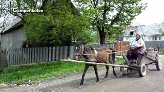 Paard en Wagen Roemenië [upl. by Seftton]