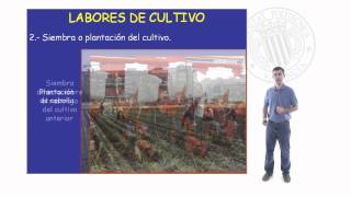 Labores de cultivo   UPV [upl. by Sedecram]