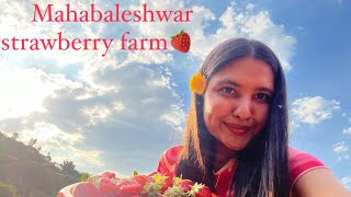 Strawberry Farm Mahabaleshwar🍓  Vlog  8 [upl. by Yendroc177]