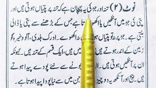 Urdu likhna padhna sikhen  Urdu classes  learn to read Urdu online free  Urdu Zaban lesson 25 [upl. by Burr973]