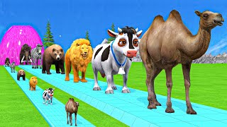 Paint amp Animals CowGorillaElephantGiraffeTigerLion Fountain Crossing Transformation Cartoon [upl. by Arised]