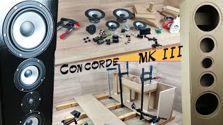 Lautsprecher selber bauen  Акустическая система  DreiwegeBox  3полосная [upl. by Ttereve]