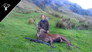 HUNTING BIG STAGS  Late Roar Deer Hunting NZ [upl. by Daye]