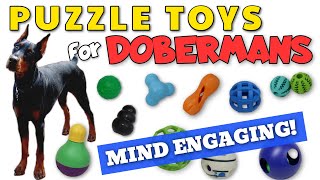 Best Puzzle Toys for Dobermans—HIGHLY Mind Stimulating [upl. by Guy476]