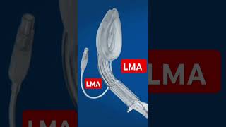 LMA  LARYNGEAL MASK AIRWAY NORCET RRB NURSING SUPERINTENDENT MG NURSING CLASSES [upl. by Trinia]