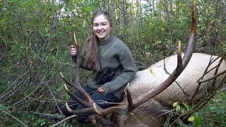 The Perfect Elk Hunt Packed Out on Horses [upl. by Alehs]