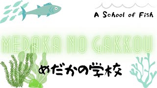 Medaka no Gakkou  A School of Fish  めだか の 学校  with Hiragana Kanji Subtitles [upl. by Roos]